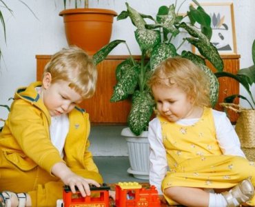 Dom pełen zieleni bez obaw: rośliny doniczkowe przyjazne dzieciom